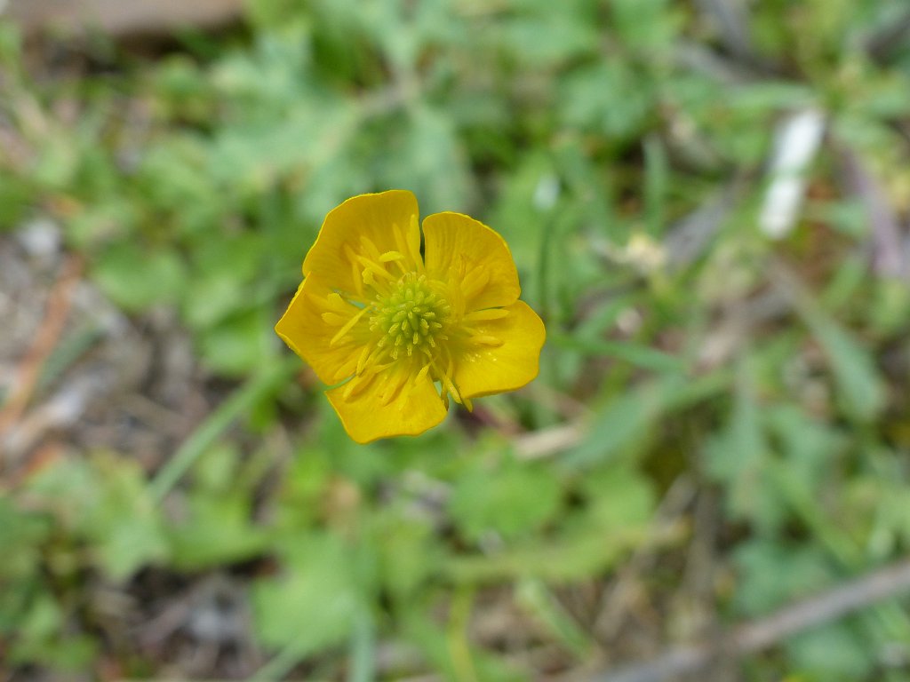 20170429-129