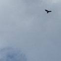 20170429-058