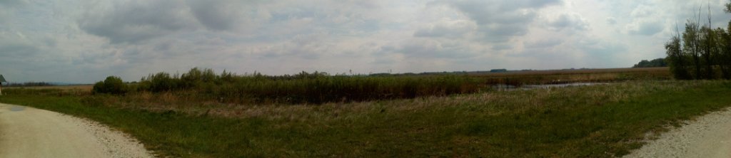 2017042930panorama-001