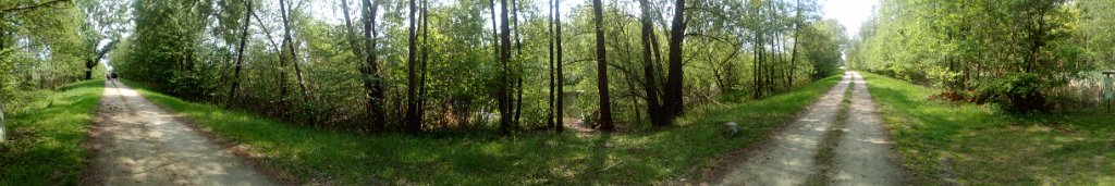 2017042930panorama-005