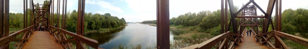 2017042930panorama-012