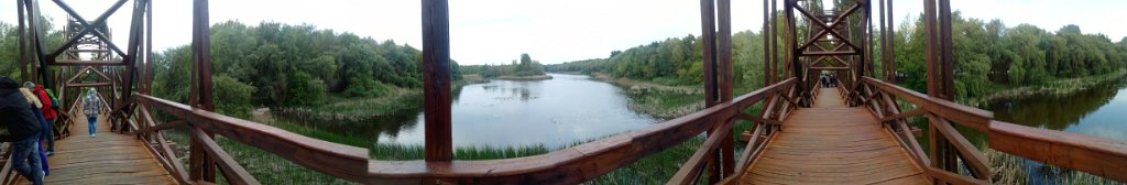 2017042930panorama-018
