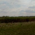 2017042930panorama-001