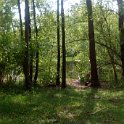 2017042930panorama-005